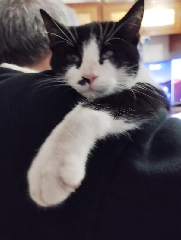 Fruttella, Ipovedente A Un Occhietto